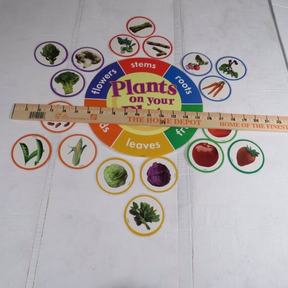 Plants on the Grow Extra Large BULLETIN BOARD SET LAMINATED  Classroom Posters - Picture 6 of 12